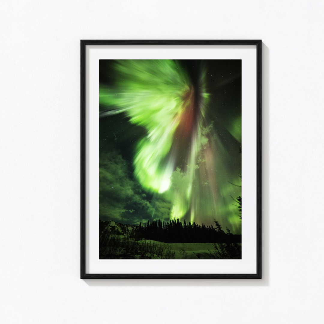 2a80192d-df94-4e1c-aa62-e0d524cf74e4