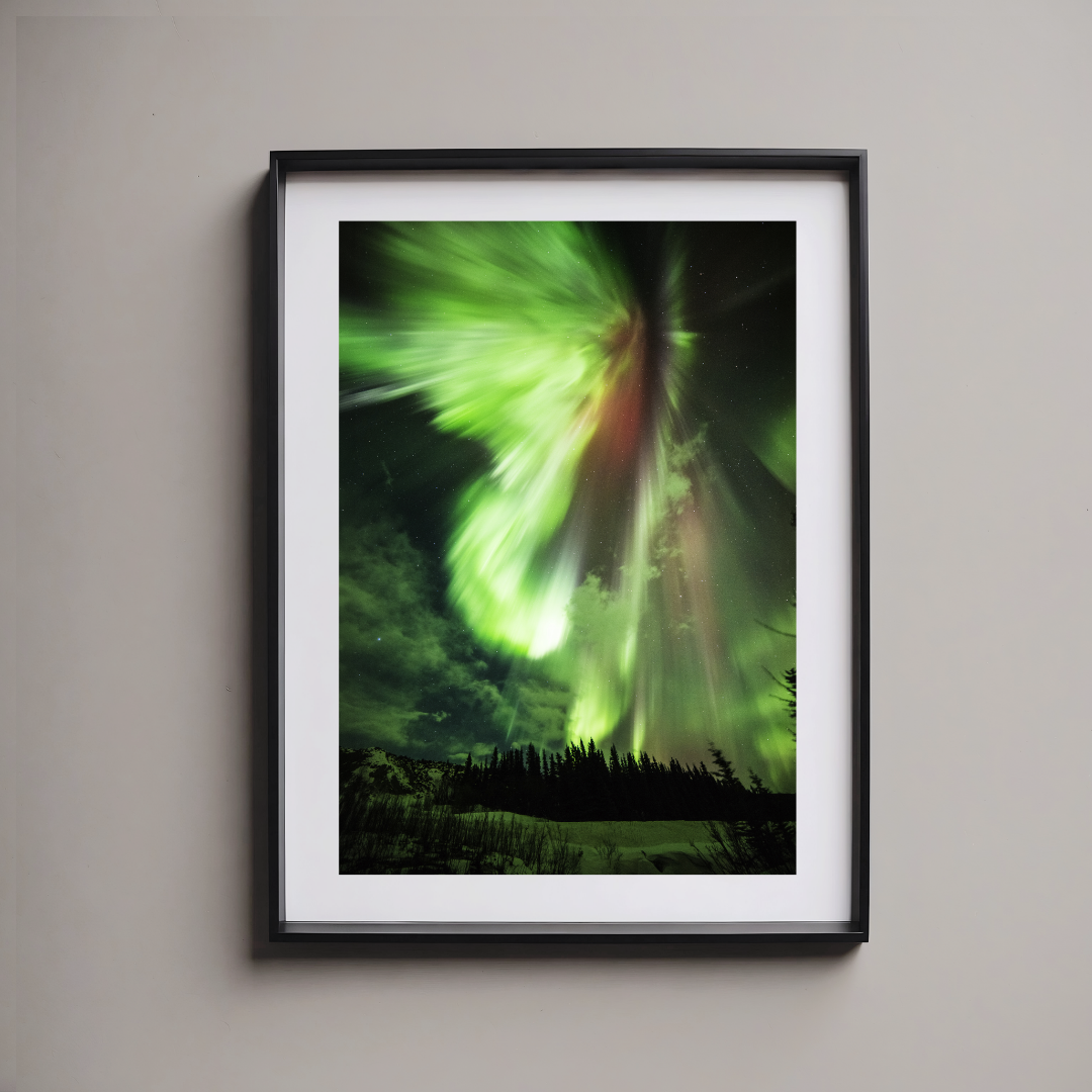 3b151766-5808-4ccc-a0be-cd36c201dfd5