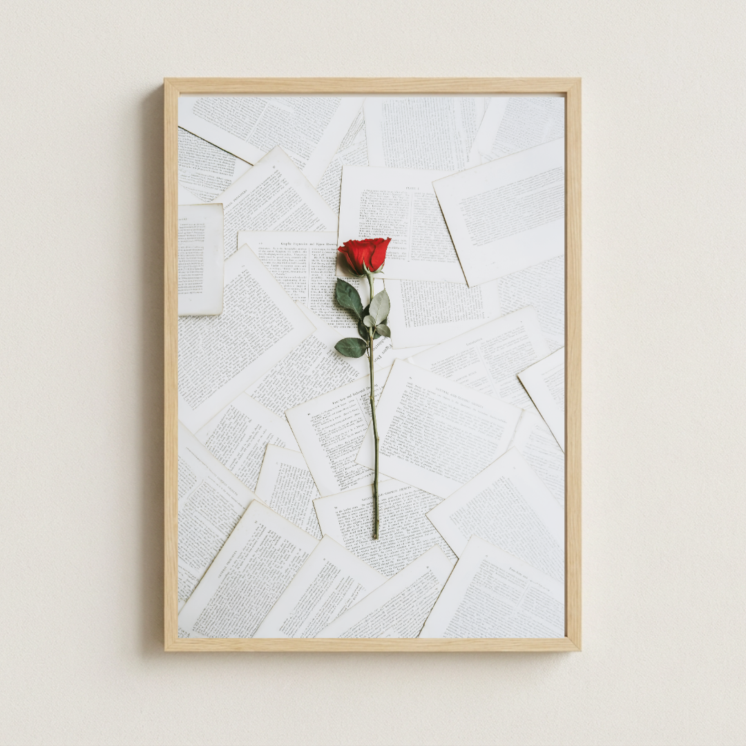 84c90ba5-4074-4ca7-9387-eaa4cc2eb672