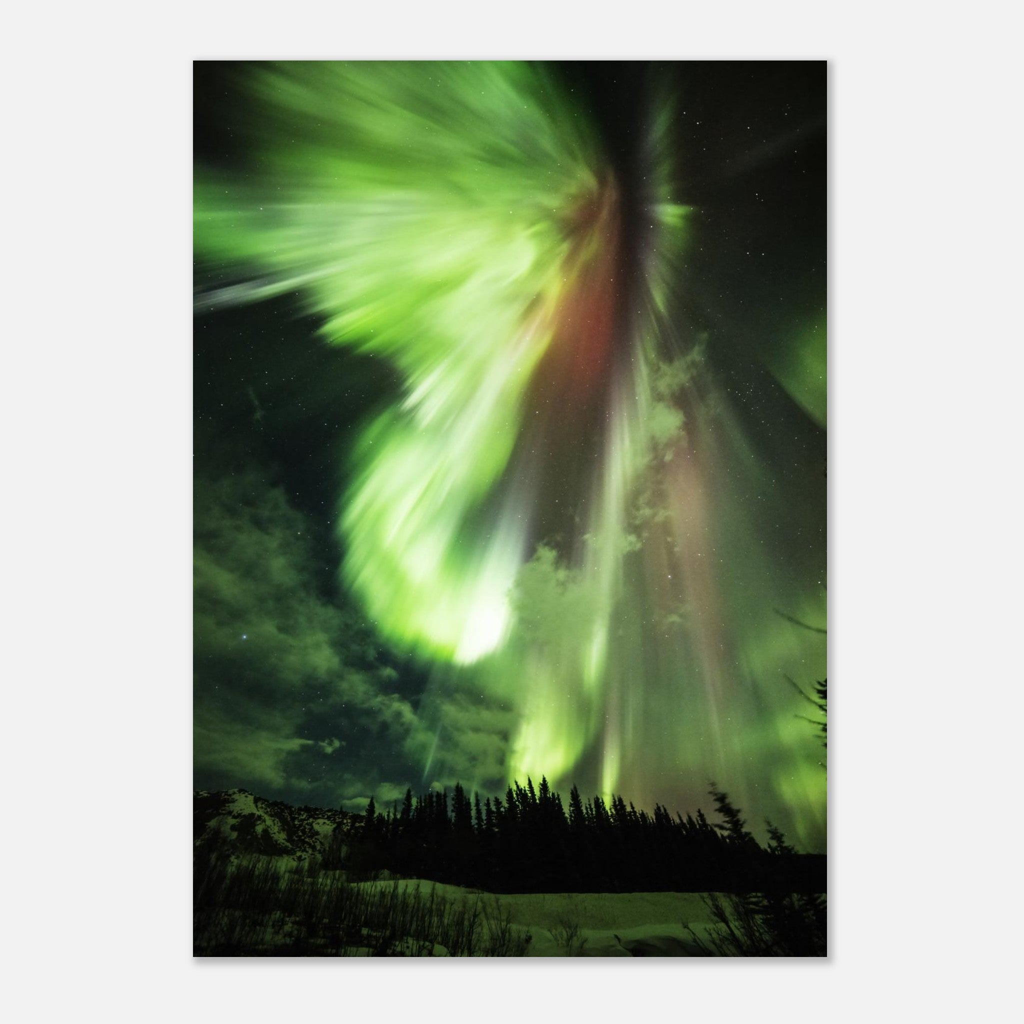 88dac8e8-d7be-4a3c-9079-dc909ef78457