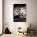 b4d9d129-d02f-46bf-be17-bdd4640761a5