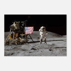 caa92b27-3904-4bf5-ae76-5cf5cc2438d8