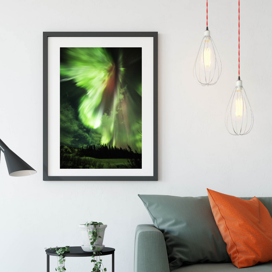 ceb73e6d-03e0-420d-b77e-c41d88343fa6