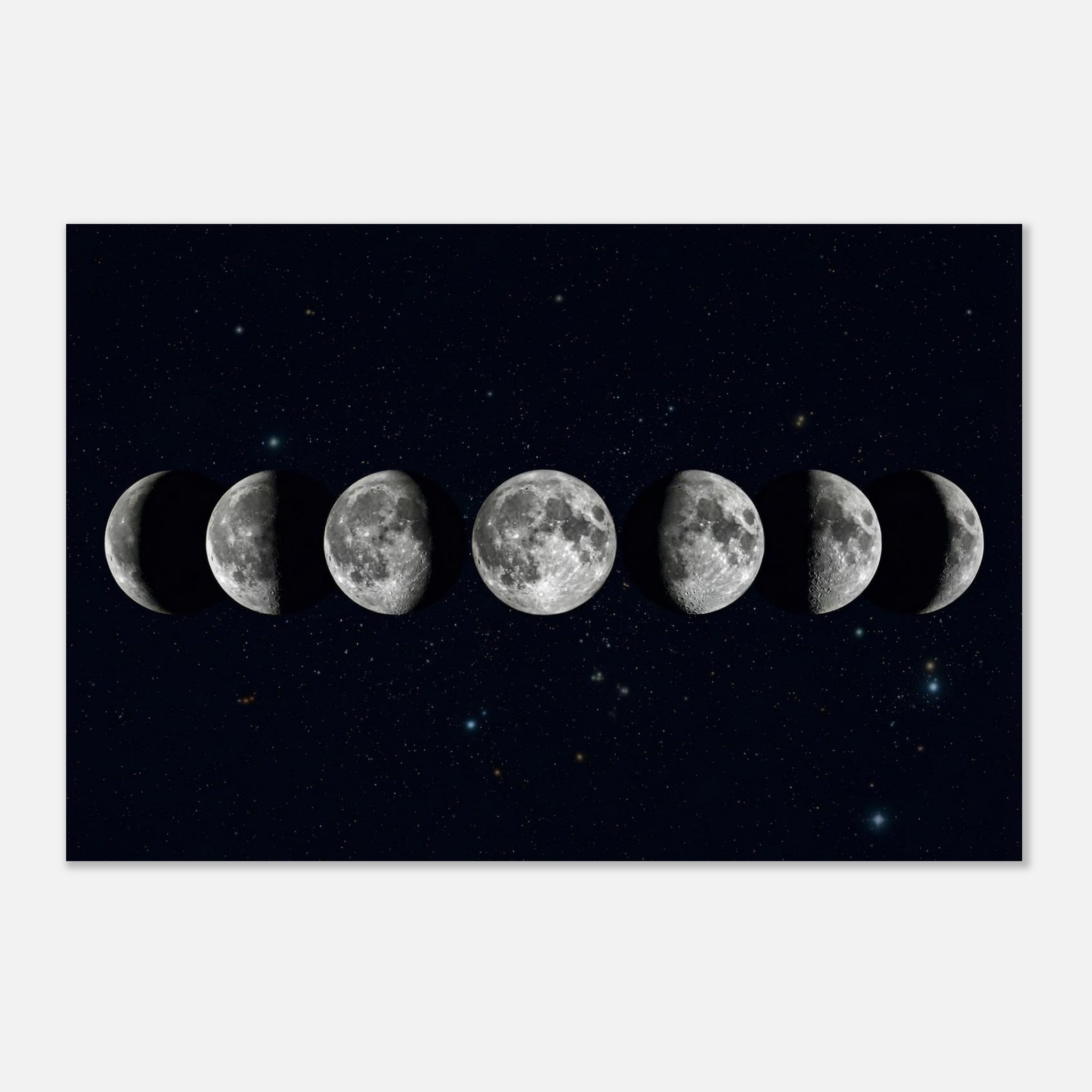 ecfc5ca2-0147-429e-985d-61549b724f33