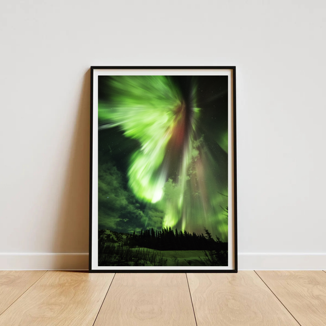 fc572ed5-3cb8-48da-9f10-6bbd3e03e11e